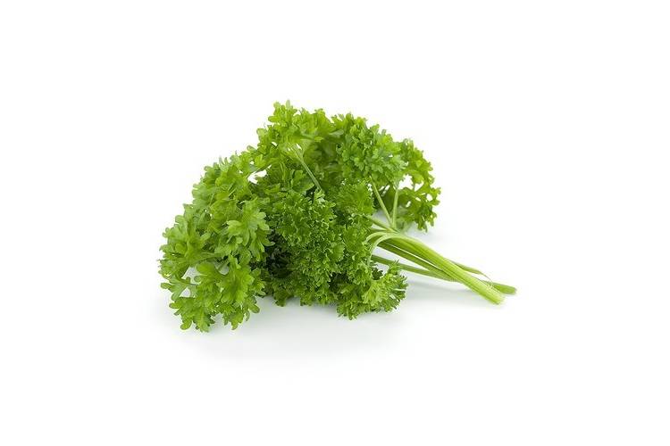 Fresh Parsley for pizza topping