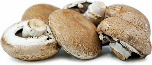 Portobello Mushrooms