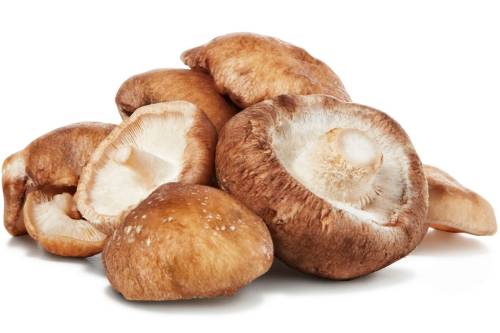 Shiitake Mushrooms
