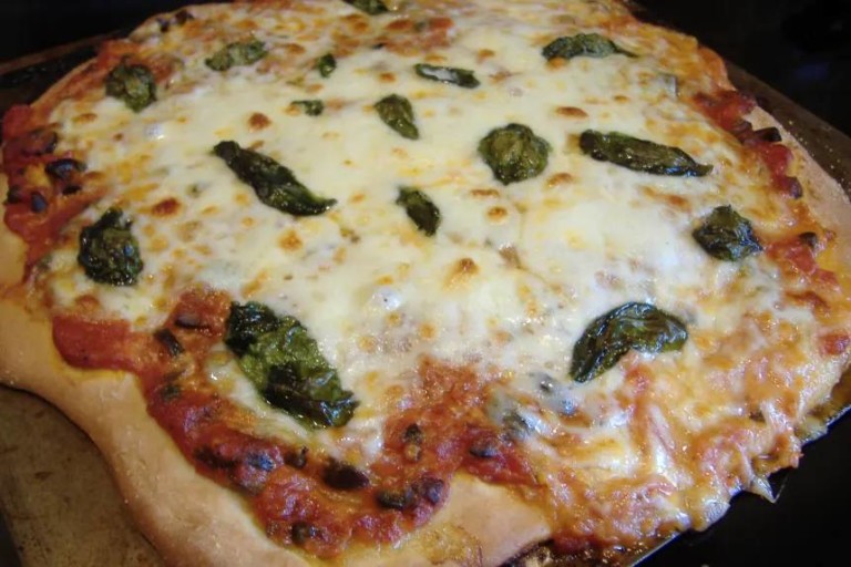 Guide.Pizza The World