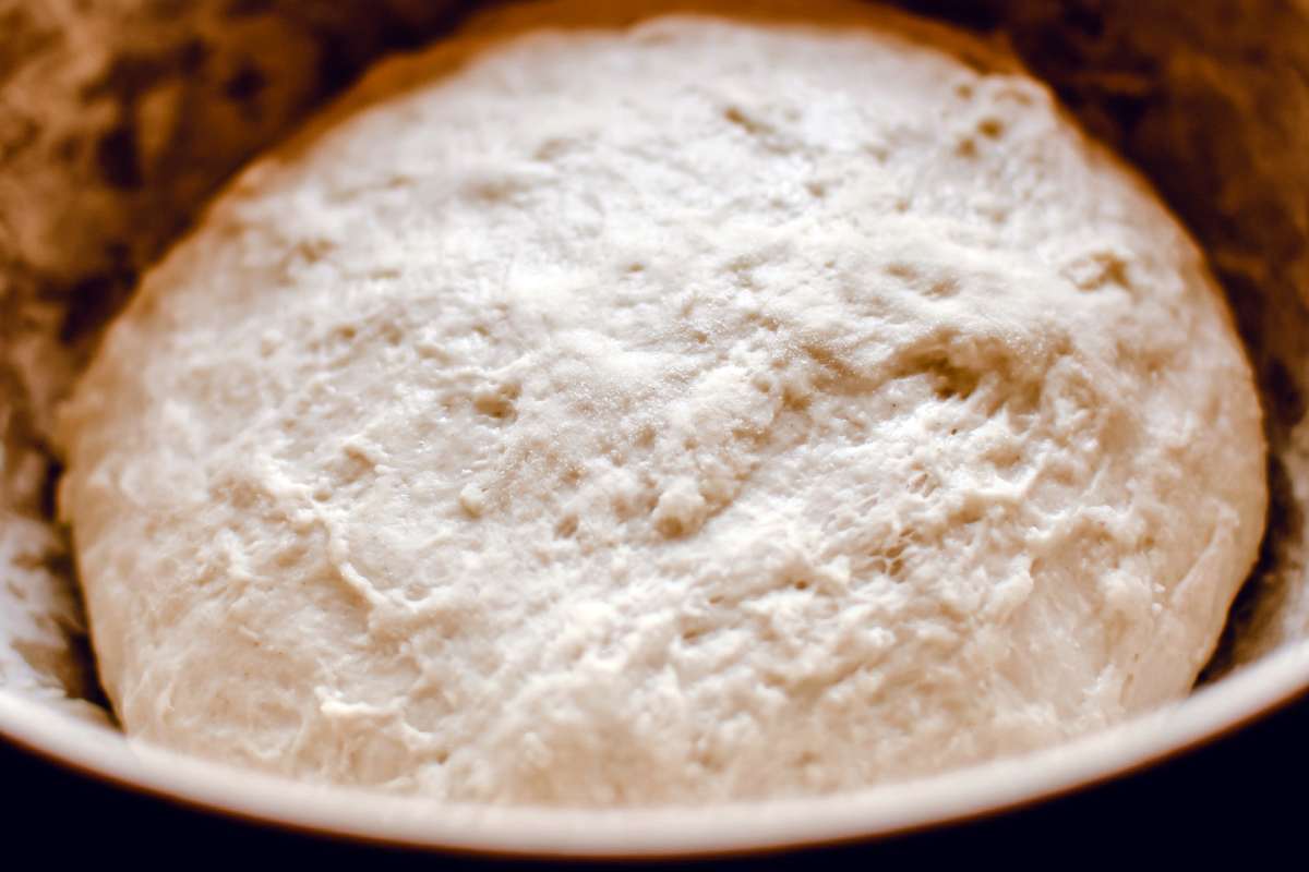 Pizza dough in bread maker bowl